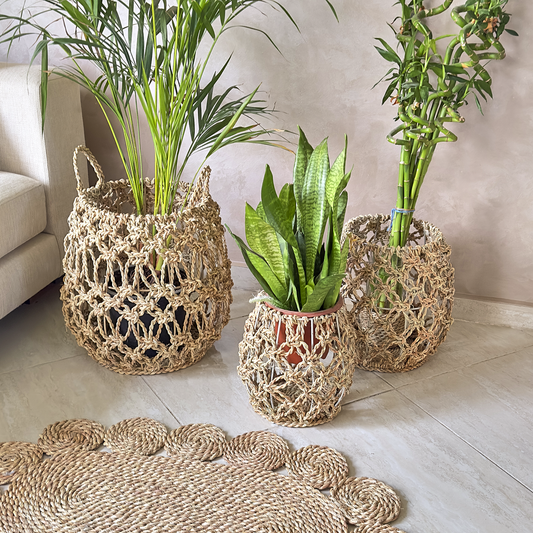 Marjouna Halfa mesh yarn. مرجونة حلفا غزل شبكة